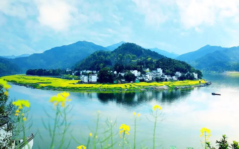 高效信息化